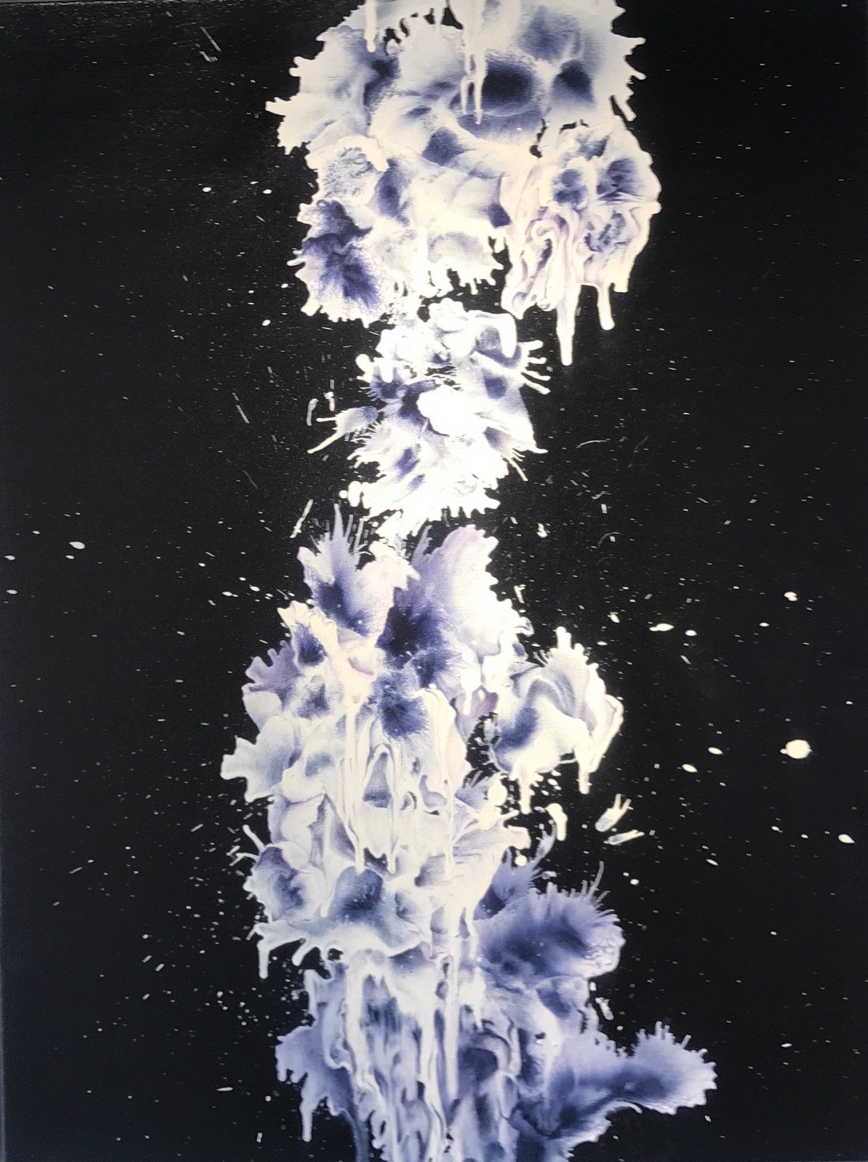 MURIELLE BONNIEC MG_3128.jpg