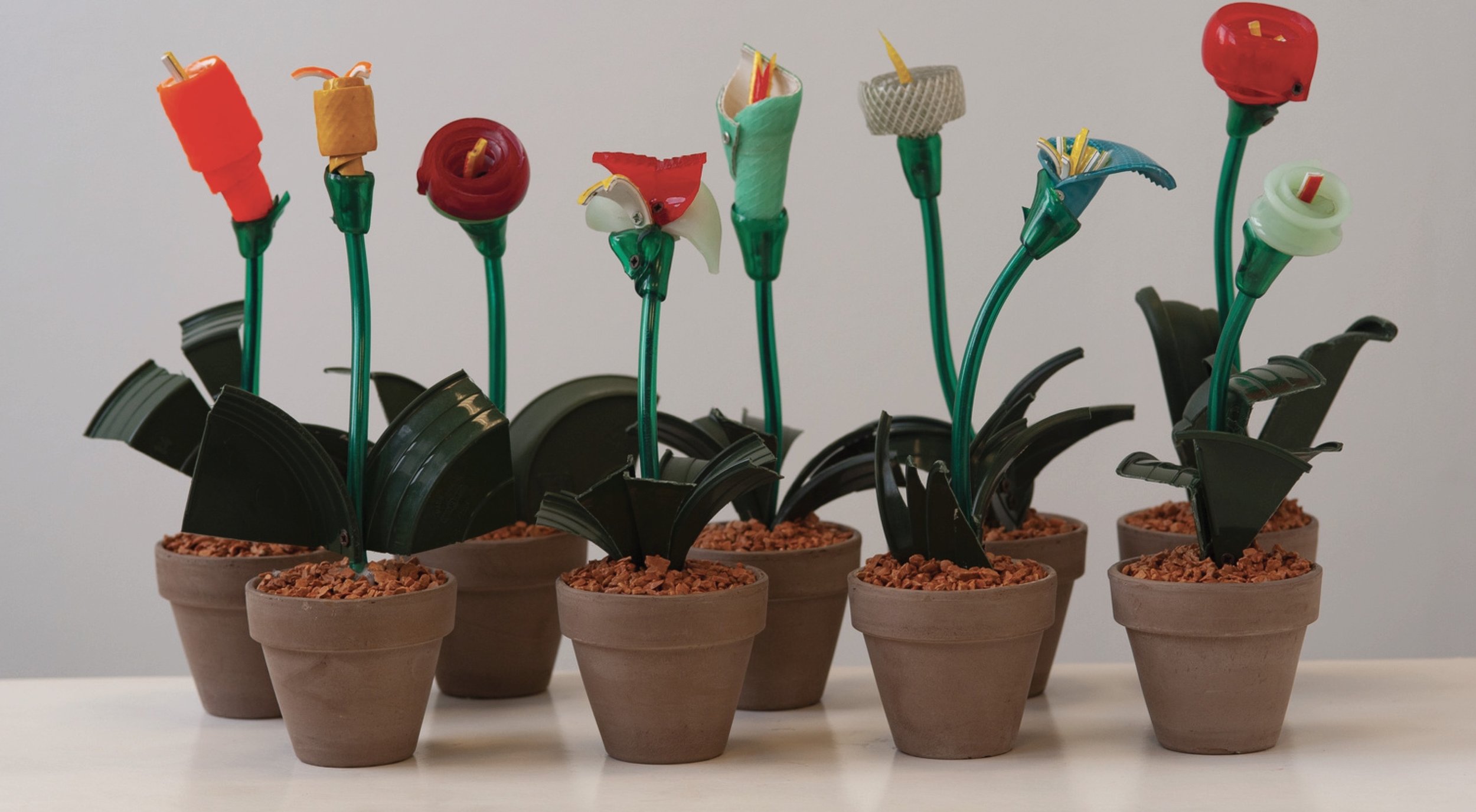 Corrado Bonomi  copia.jpg