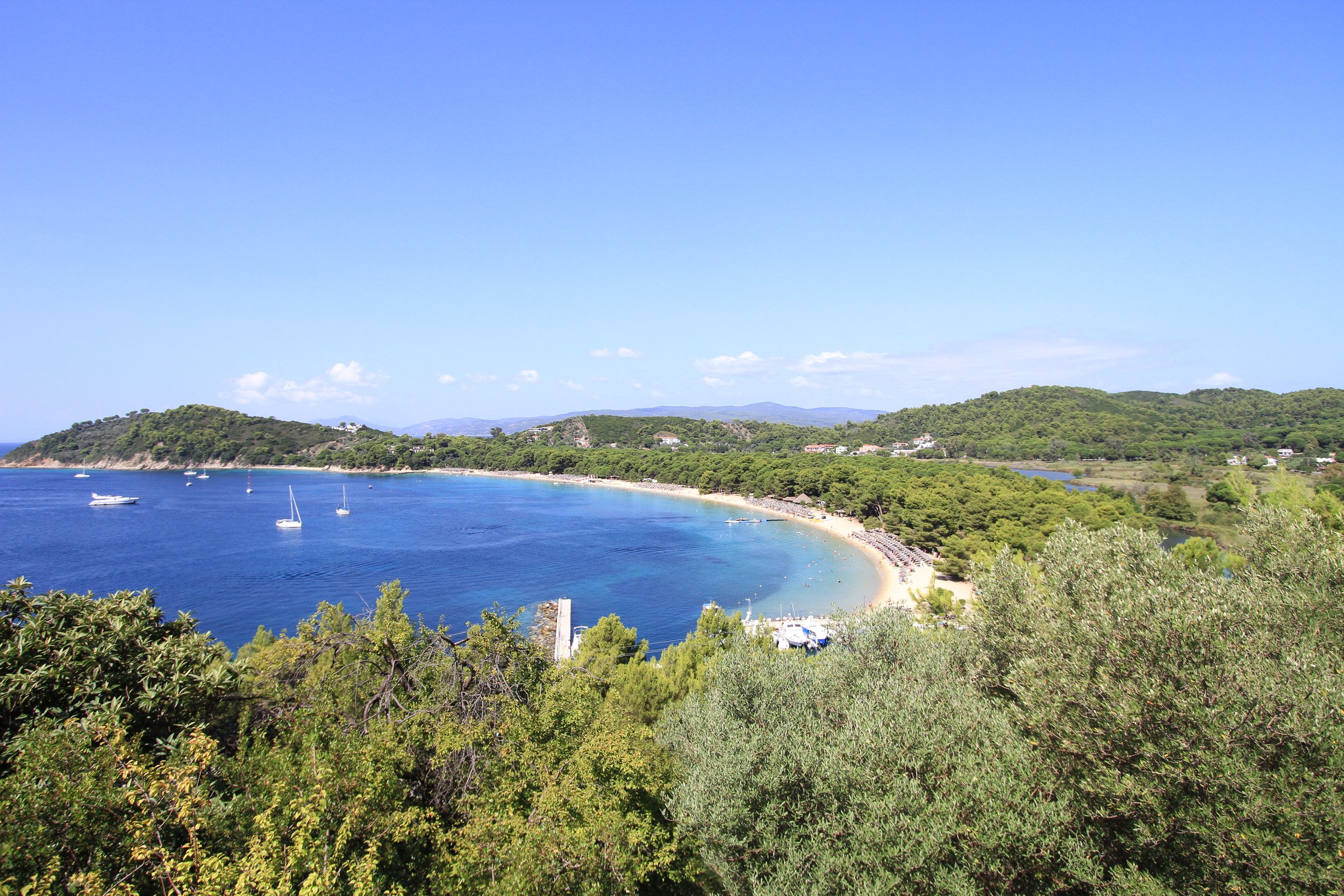 2015-08-27 08.36.26.jpg